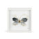 Downloaded from Shopify for use with Vendor ID (721) and Product ID (9708225790272).