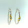 Downloaded from Shopify for use with Vendor ID (1323) and Product ID (9613602849075).