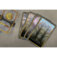 Downloaded from Shopify for use with Vendor ID (163) and Product ID (9910449635644).