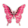 Downloaded from Shopify for use with Vendor ID (174) and Product ID (6905826377839).