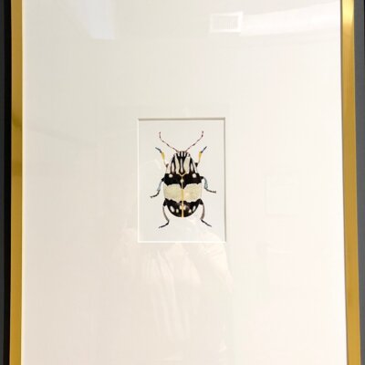 Downloaded from Shopify for use with Vendor ID (174) and Product ID (8747050271039). Downloaded from Shopify for use with Vendor ID (174) and Product ID (8747050271039).
