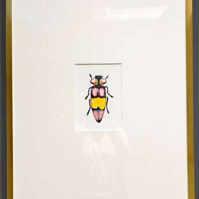 Downloaded from Shopify for use with Vendor ID (174) and Product ID (8747050271039). Downloaded from Shopify for use with Vendor ID (174) and Product ID (8747050271039).