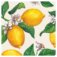 Downloaded from Shopify for use with Vendor ID (841) and Product ID (9902190264598).
