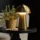 Downloaded from Shopify for use with Vendor ID (199) and Product ID (10046299144486).