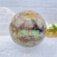 Downloaded from Shopify for use with Vendor ID (163) and Product ID (9925738561852).