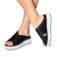 Downloaded from Shopify for use with Vendor ID (369) and Product ID (9626390495479).