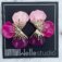 Downloaded from Shopify for use with Vendor ID (174) and Product ID (9507451175231).