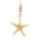 Downloaded from Shopify for use with Vendor ID (174) and Product ID (9977577144639).