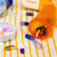 Downloaded from Shopify for use with Vendor ID (26) and Product ID (9977424773398).