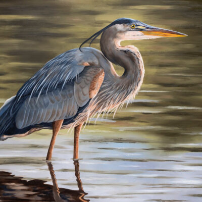 Denney Blue Heron Framed 19x23