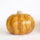 Downloaded from Shopify for use with Vendor ID (15) and Product ID (8843615797498).