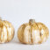 Downloaded from Shopify for use with Vendor ID (15) and Product ID (8843615797498).