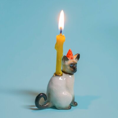 Downloaded from Shopify for use with Vendor ID (721) and Product ID (9845957001536). Downloaded from Shopify for use with Vendor ID (721) and Product ID (9845957001536).