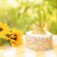 Downloaded from Shopify for use with Vendor ID (721) and Product ID (9845957034304).