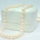 Downloaded from Shopify for use with Vendor ID (1323) and Product ID (8274025185587).