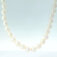 Downloaded from Shopify for use with Vendor ID (1323) and Product ID (8274025185587).