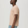 Downloaded from Shopify for use with Vendor ID (369) and Product ID (9690196672759).