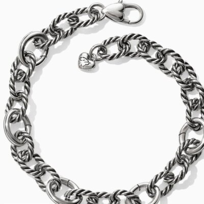 Sedona Link Charm Bracelet