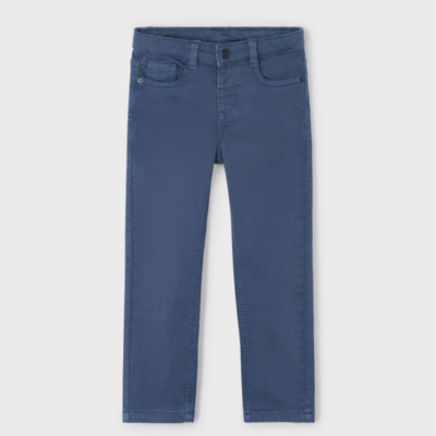 Steel Regular Fit Pant