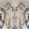 Downloaded from Shopify for use with Vendor ID (323) and Product ID (9935445754160).