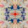 Downloaded from Shopify for use with Vendor ID (323) and Product ID (9935445819696).