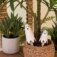 Downloaded from Shopify for use with Vendor ID (199) and Product ID (10203777433894).