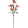 Downloaded from Shopify for use with Vendor ID (199) and Product ID (10225421746470).