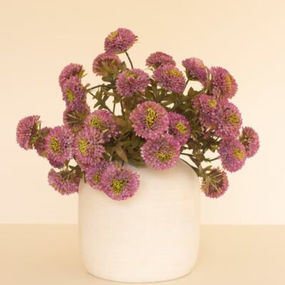 Dahlia Bundle Stem