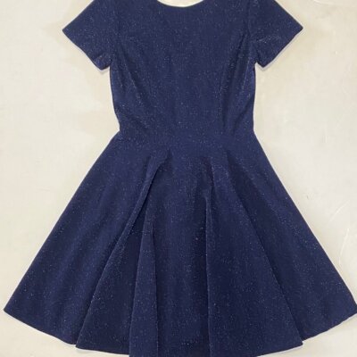 Navy Silver Speckled Dress