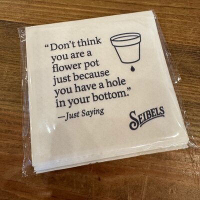Flower Pot Cocktail Napkin (10 Pk)