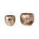 Downloaded from Shopify for use with Vendor ID (199) and Product ID (9572306977062).
