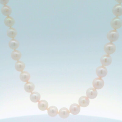 6x6.5MM Pearl Necklace