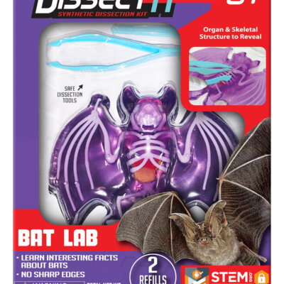 Dissect-It Bat Lab