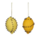 Downloaded from Shopify for use with Vendor ID (199) and Product ID (10291531284774).