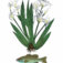 Downloaded from Shopify for use with Vendor ID (124) and Product ID (8596214153383).
