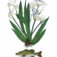 Downloaded from Shopify for use with Vendor ID (124) and Product ID (8596214153383).