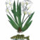 Downloaded from Shopify for use with Vendor ID (124) and Product ID (8596214153383).