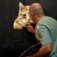 Downloaded from Shopify for use with Vendor ID (34) and Product ID (7618571239490).