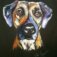 Downloaded from Shopify for use with Vendor ID (34) and Product ID (7618571239490).
