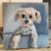Downloaded from Shopify for use with Vendor ID (34) and Product ID (7618571239490).