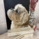 Downloaded from Shopify for use with Vendor ID (34) and Product ID (7618571239490).