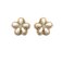 Downloaded from Shopify for use with Vendor ID (721) and Product ID (9991245005120).