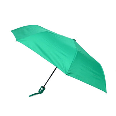 Compact Travel Umbrella - Green