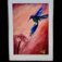 Downloaded from Shopify for use with Vendor ID (34) and Product ID (7628265422914).