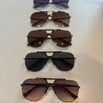 Logan Sunglasses