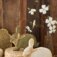 Downloaded from Shopify for use with Vendor ID (199) and Product ID (10378964926758).