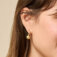 Downloaded from Shopify for use with Vendor ID (1528) and Product ID (8348375449735).