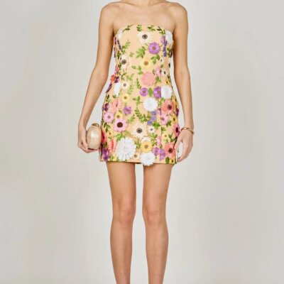 Floral Embroidered Mini Dress