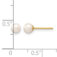 Downloaded from Shopify for use with Vendor ID (1323) and Product ID (10069571764531).