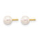 Downloaded from Shopify for use with Vendor ID (1323) and Product ID (10069571764531).